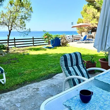 The House By The Beach, Metamorphosis Apartman *